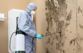 Best Mold Remediation for Rental Properties  in USA